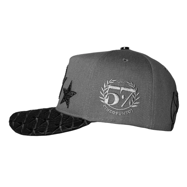 The Stars Luxury Gray Cap